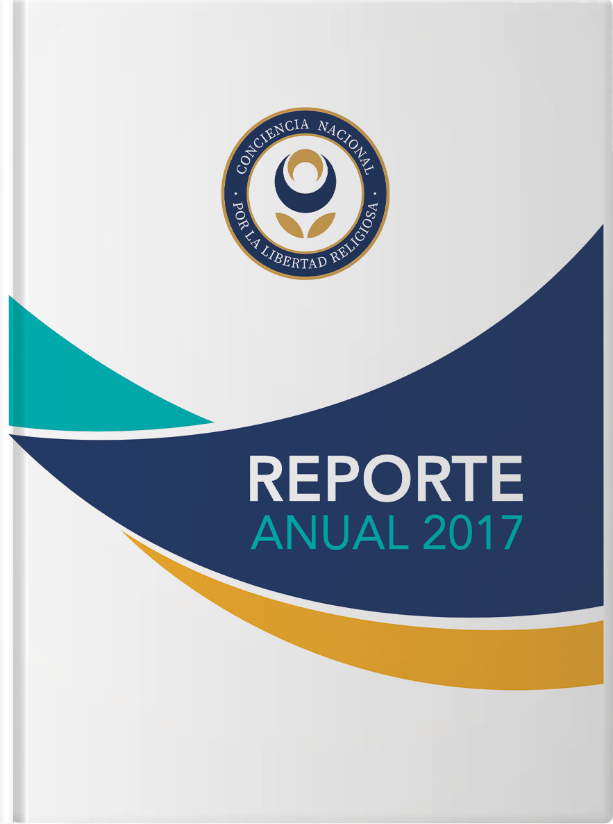 Informe anual 2017